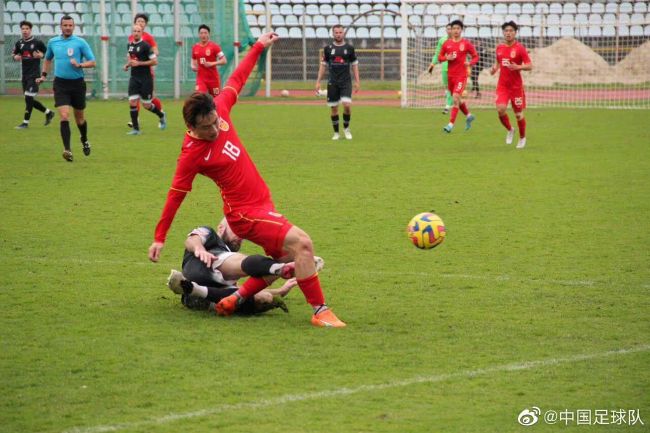 狗的风格和交流