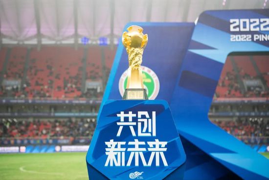 国产精品亚洲片在线va