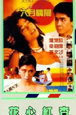 久久久久久久国产精品