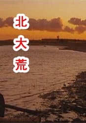 久久视频一区