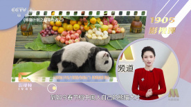 www.99精品